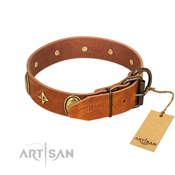 Perfect fit leather dog collar for everyday activities