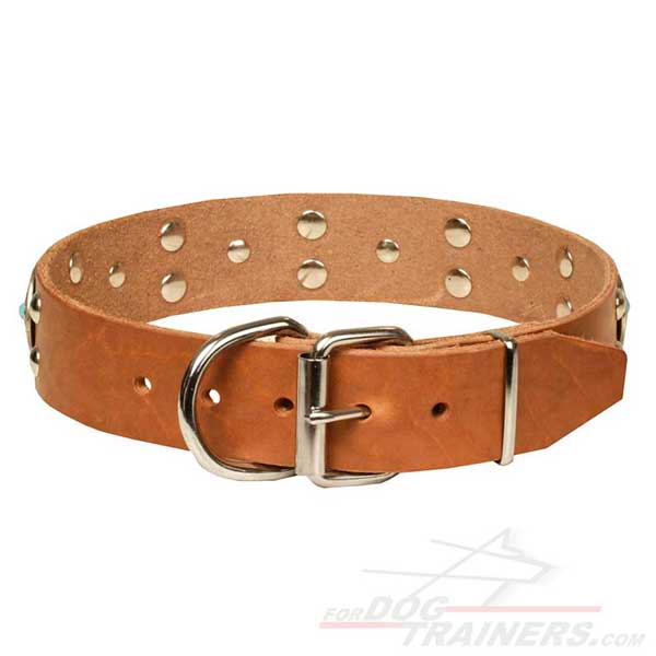 Nickel-plated buckle and D-ring on Tan Leather Dog Collar