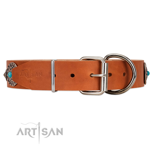 Tan Leather dog collar with silver-like hardware with
blue stones