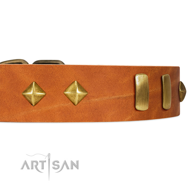 Old Bronze-like Plated Engraved Adornments on Tan Leather
Dog Collar