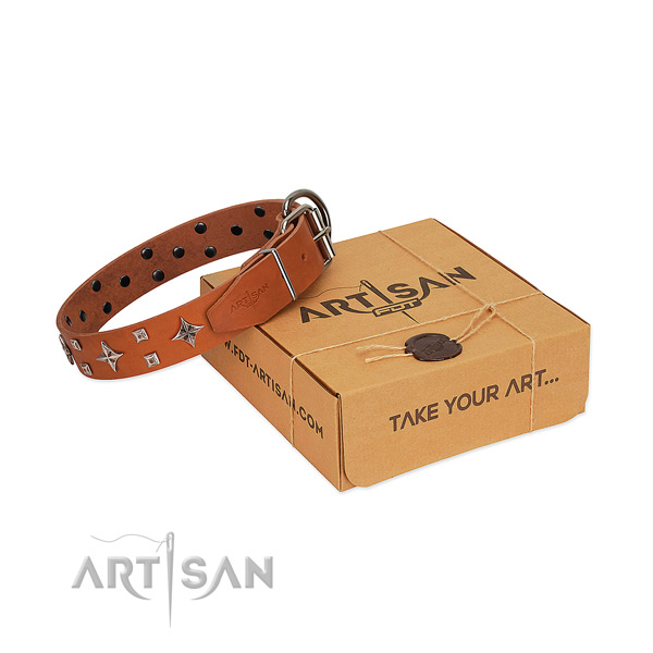 Fascinating tan leather dog collar for pleasant daily
wear