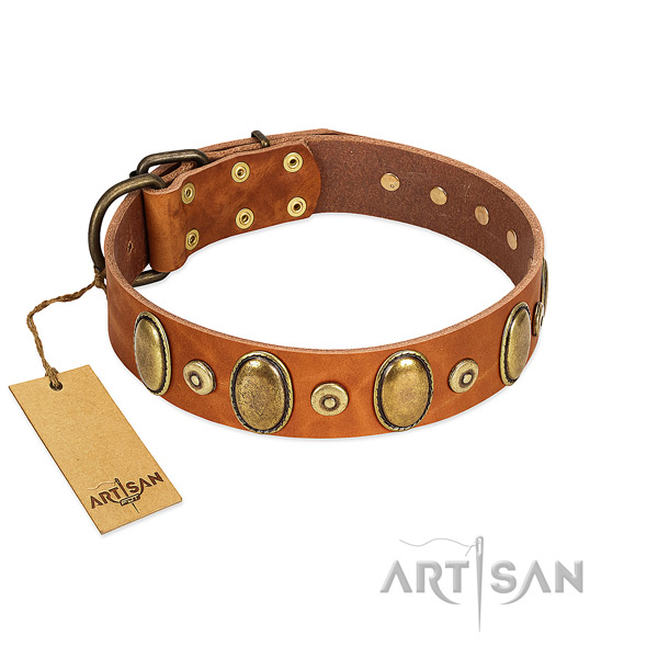 Premium Quality Tan Leather Collar with Royal
Decorations