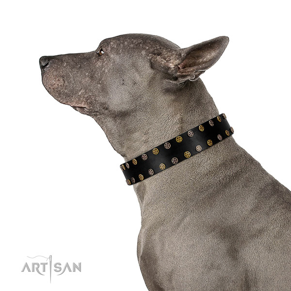 Thai-Ridgeback Collar of Dog-friendly Leather