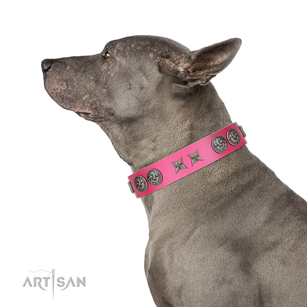 Extraordinary walking pink leather Thai Ridgeback collar
with
chic decorations