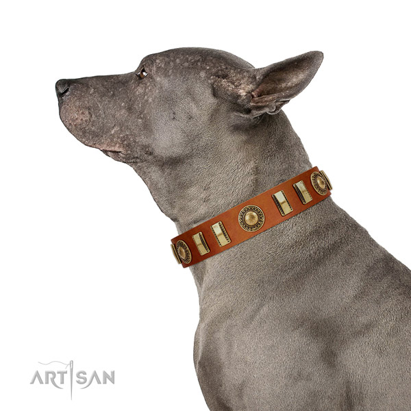 Natural Leather Thai Ridgeback Collar with Incredible
Adornments