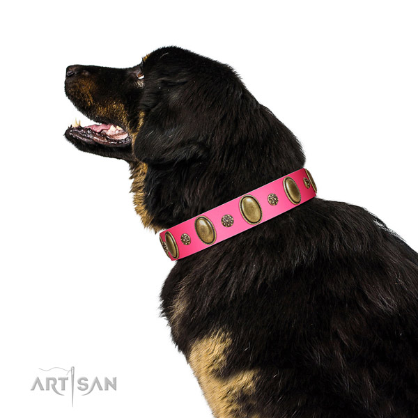 Pink Tibetian Mastiff Artisan leather collar for elegant
look