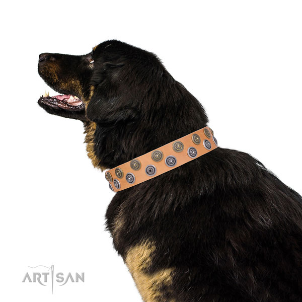 Tibetian Mastiff unusual natural genuine leather dog collar with adornments