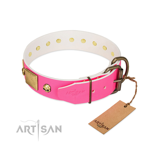 Prime Quality Dog Collar with Rust-resistant Hardware