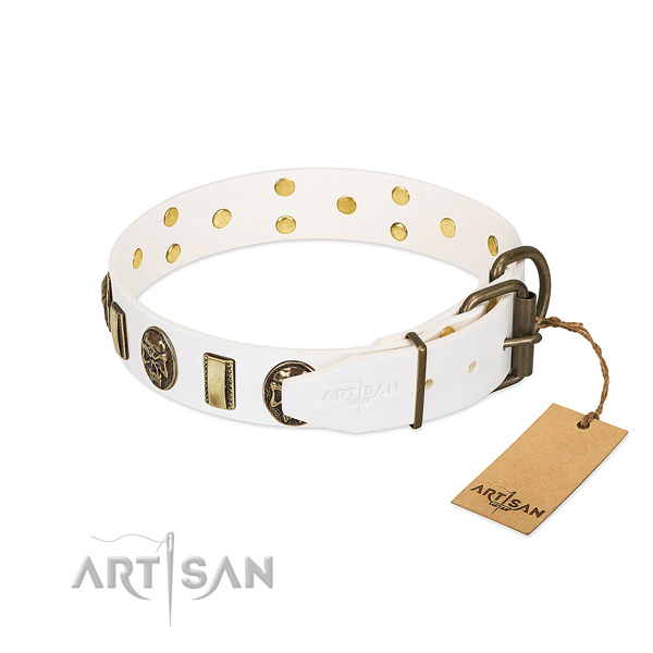 Easy to Adjust Leather Dog Collar with Strong Buckle