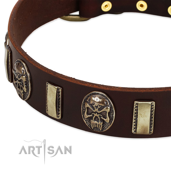 Walking Leather Dog Collar with Plates and Medallions