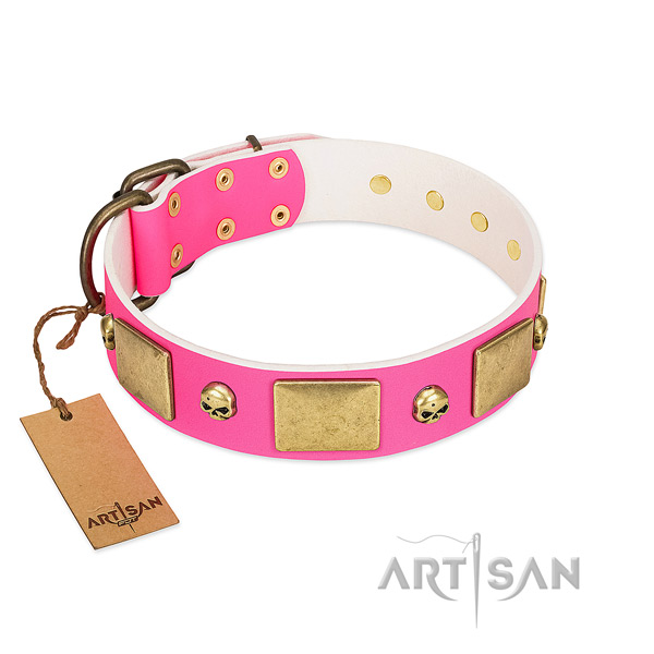 Glamorous Walking Leather Dog Collar with Luxurious Plates and Skulls