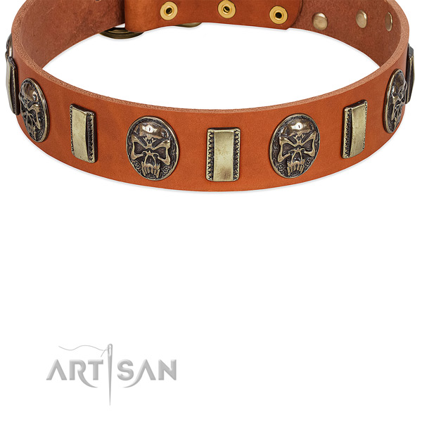 Tan Leather Dog Collar with Extraordinary Embellishment