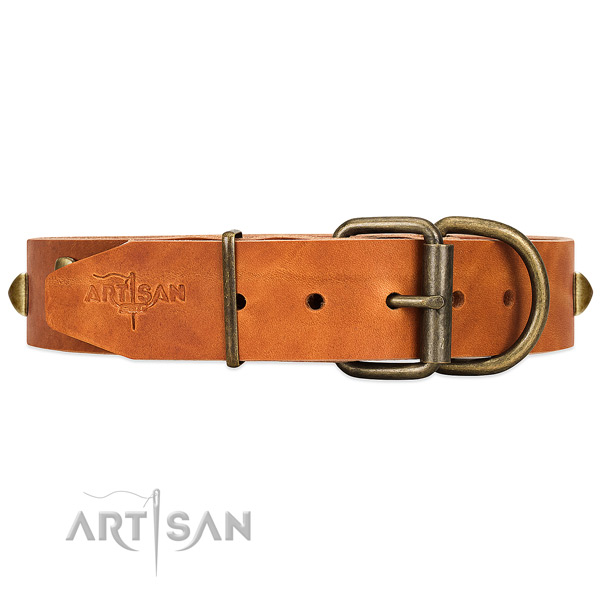 Reinforced leather dog collar with riveted hardware