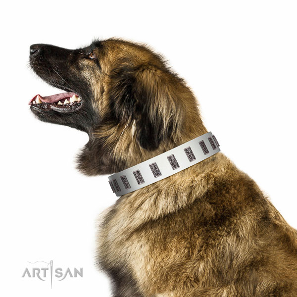 Deluxe walking  white leather Leonberger collar with
engraved plates