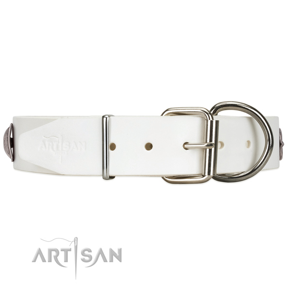 Adorned white leather dog collar with chrome-plated hardware
