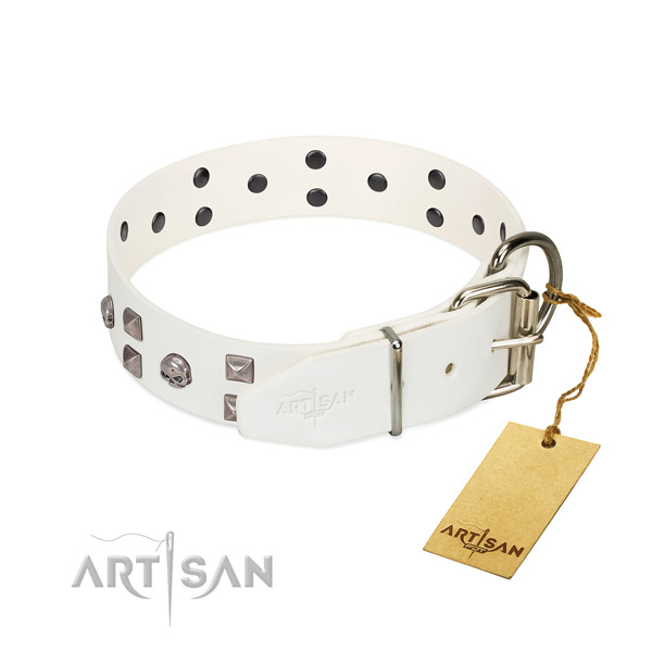 White leather dog collar with polished edges
