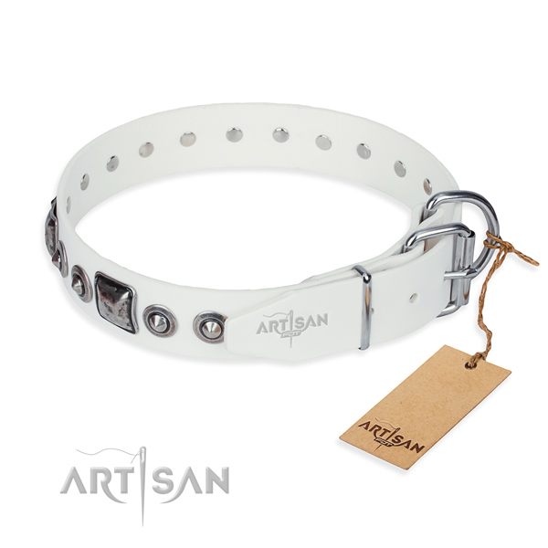 White leather dog collar with rustless fittings