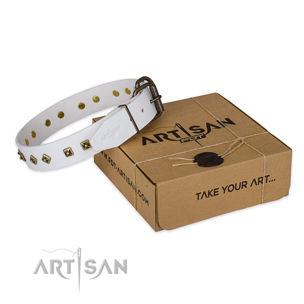 Safe in wearing white leather dog collar