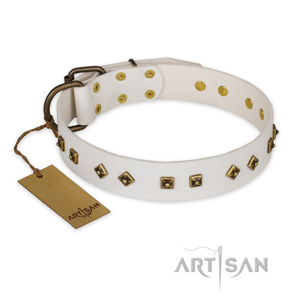 White leather dog collar with rust-resistant studs
