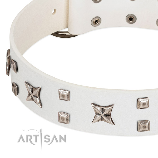 Walking dog collar with chrome-plated square studs and stars