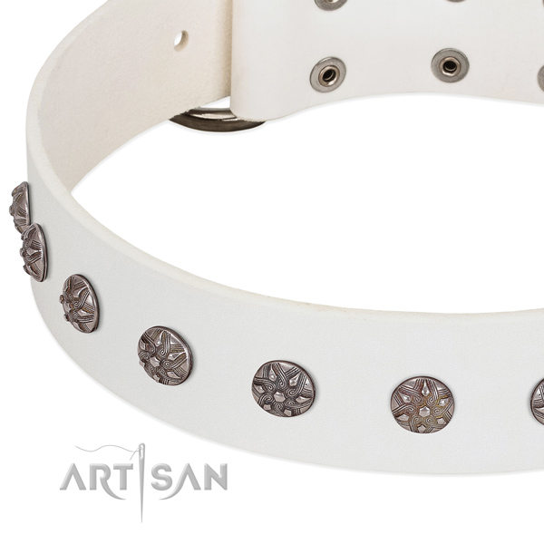 White leather dog collar with vintage studs covered with chromium