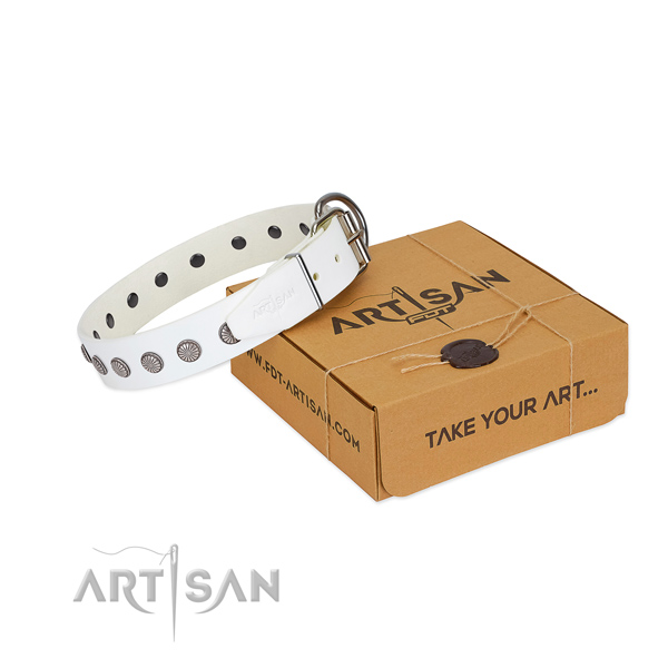 White leather dog collar with unique decorations for stylish walks