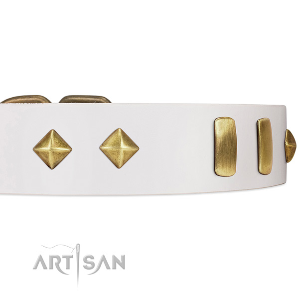 Old Bronze-like Plated Engraved Adornments on White
Leather Dog Collar
