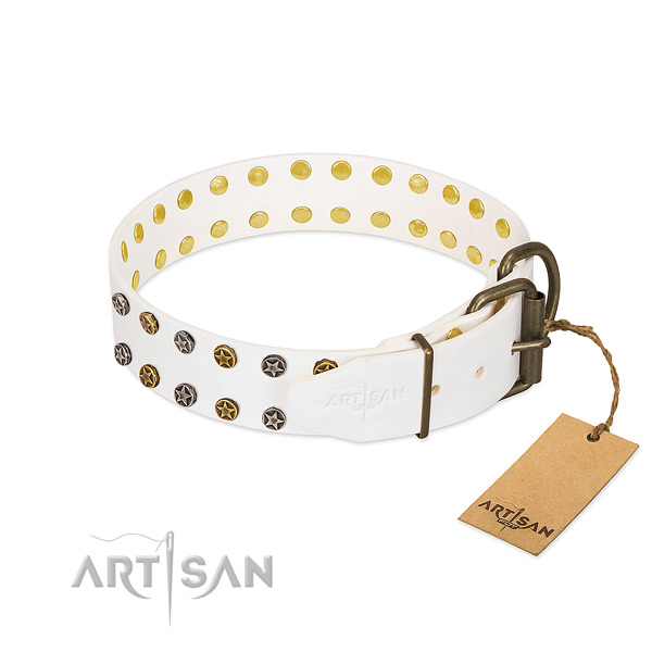 Reliable Artisan dog collar for daily activities