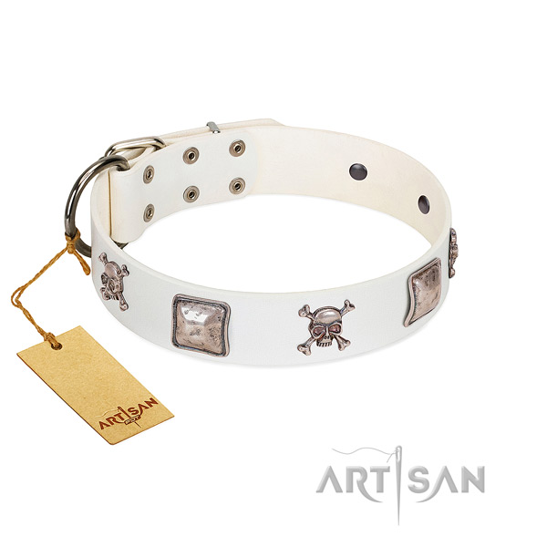 Trendy FDT Artisan leather dog collar
