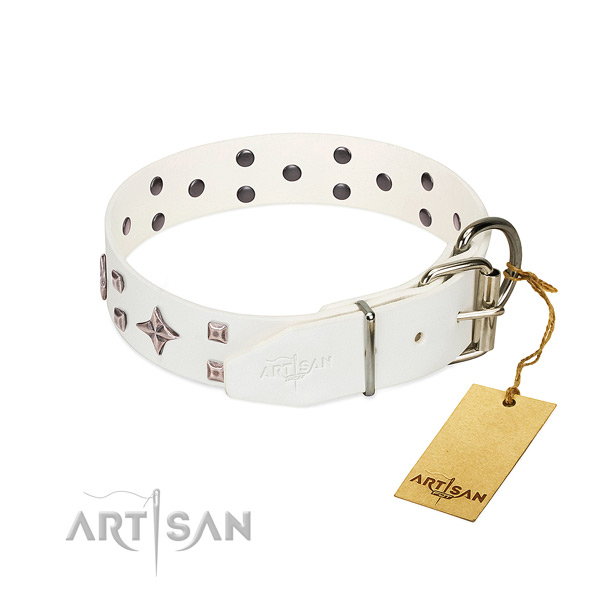 Upmarket gentle leather dog collar for daily wear