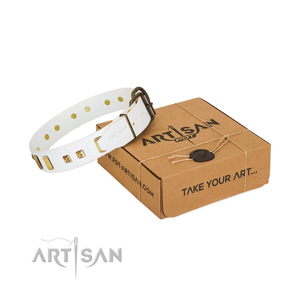 White Dog Collar Made of Premium Quality Materials