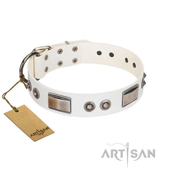 White dog collar for comfortable daily walks