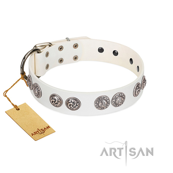 Superior white leather dog collar with riveted
medallions