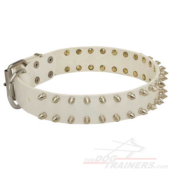 Spiked Leather Collar for Dog Walking