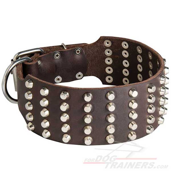 Wide leather dog collar with 5 rows of evenly set studs