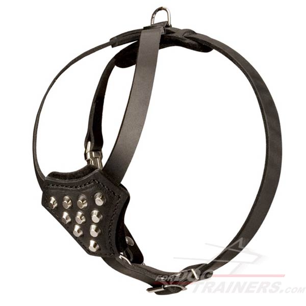 Leather dog harness for healthy growth of your puppy