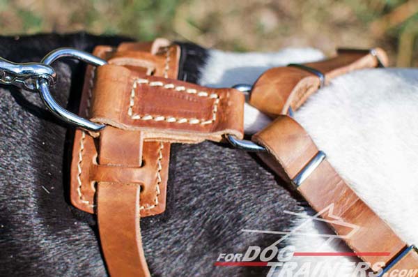 Tan Leather Harness Back Plate with Ring for Leash Attachment