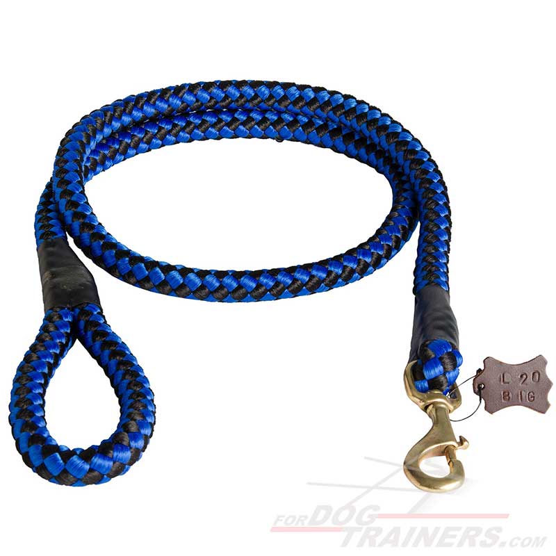dog leash for big dogs