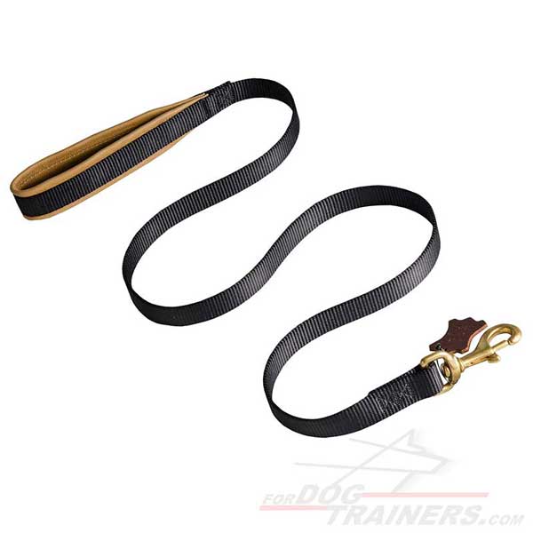 Practical nylon dog leash with padded handle