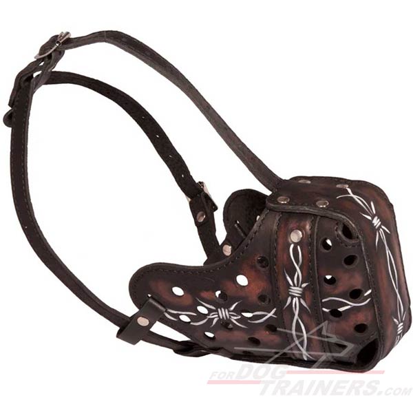 Barbed wire leather muzzle
