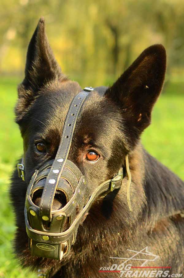 Leather Basket Muzzle for GSD