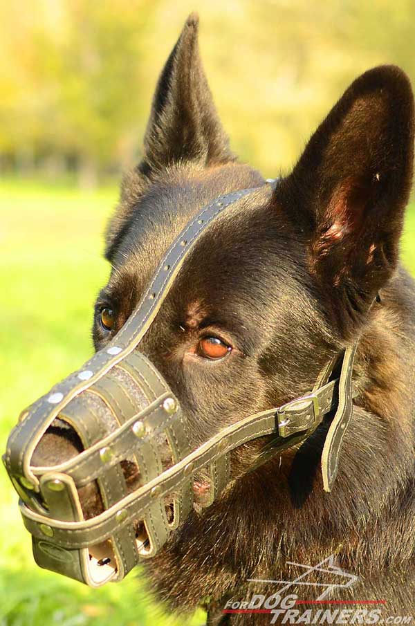 Leather Basket German Shepherd Muzzle Air Ventilated