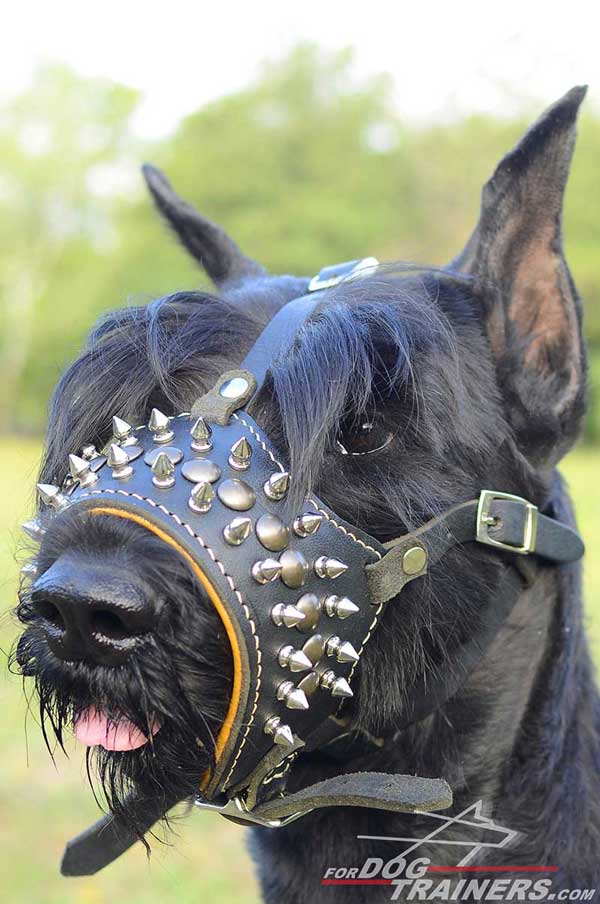 Open-Nosed Leather Riesenschnauzer Muzzle