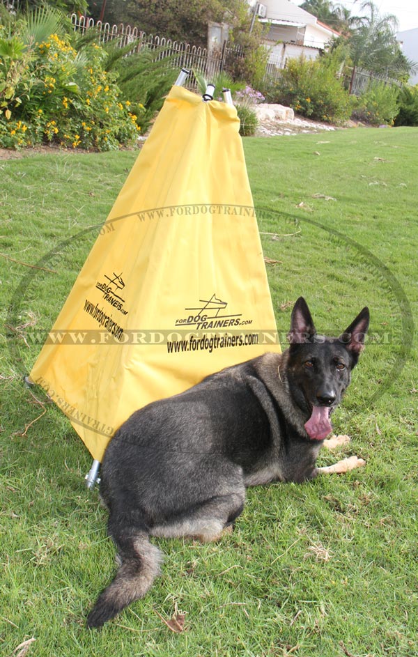 Schutzhund Blind with strong construction for puppies