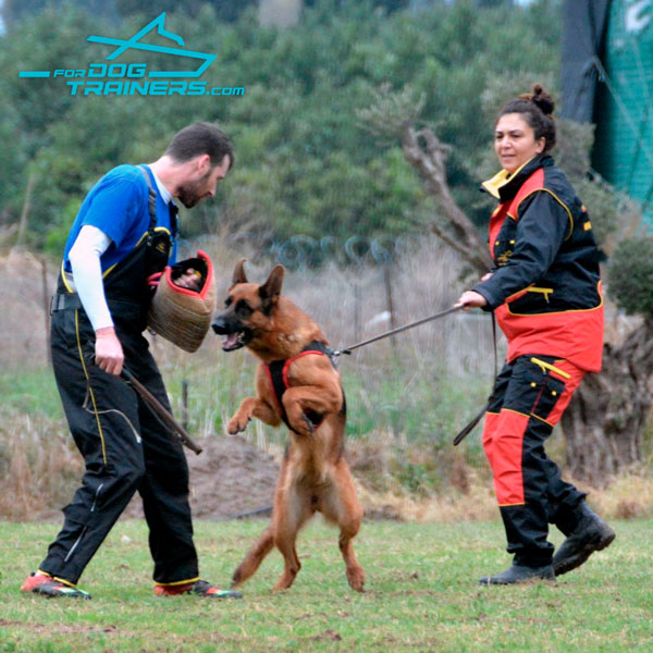 Dog Training Protection Suit for Professional Use