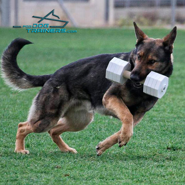 Dog-safe Wooden Dumbbell Schutzhund III with Removable Plates