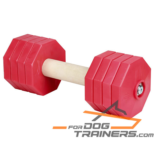 Reliable dog dumbbell with wooden stick