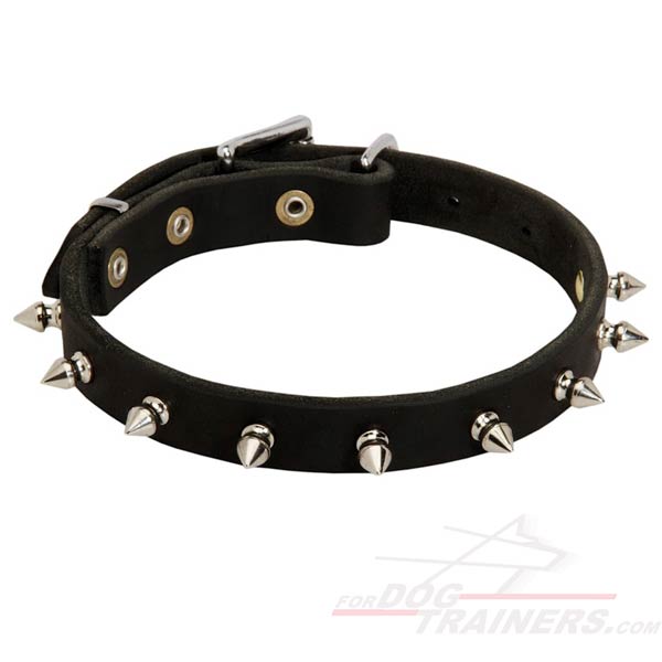 Awesome Spiked Dog Collar
