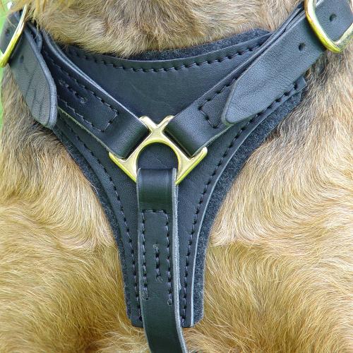 tracking walking dog harness